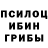 Псилоцибиновые грибы мицелий Sobolky