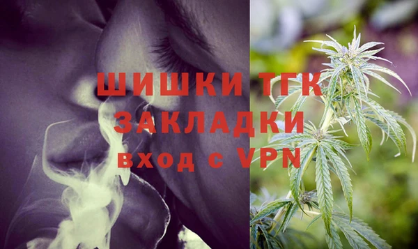 тгк Аркадак