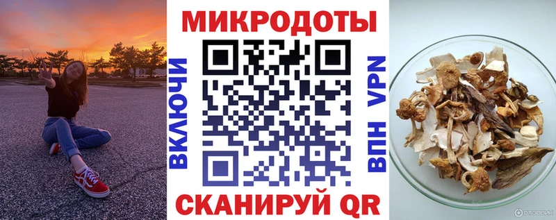 Галлюциногенные грибы Psilocybe наркотики Сковородино